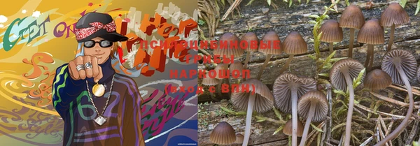 мяу мяу кристалл Покачи