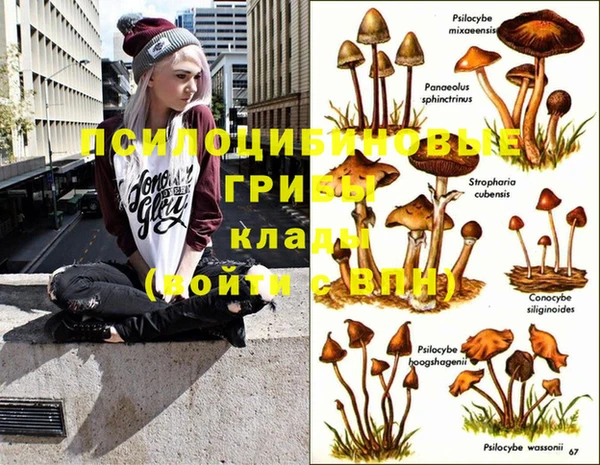 стафф Верхний Тагил